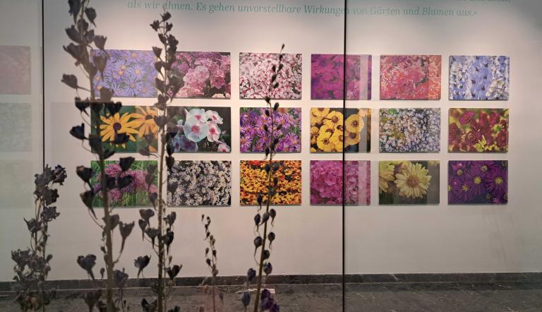 Foerster Ausstellung - mehrere Bilder von Blumen an der Wand