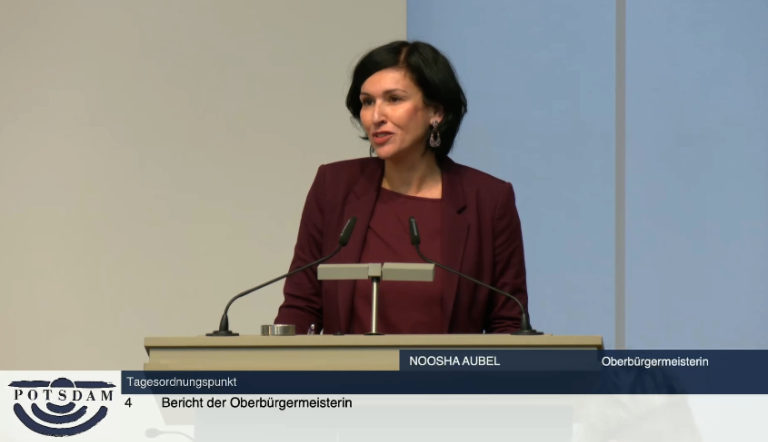 Sitzung der SVV am 5. November 2025 (Screenshot)