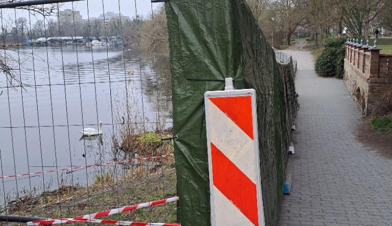 Schwan an Neustädter Havelbucht
