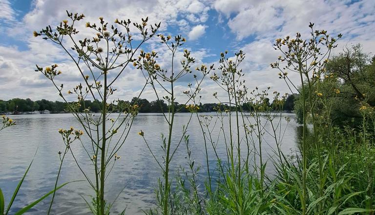 Blick auf die Havel Blick auf die Havel
