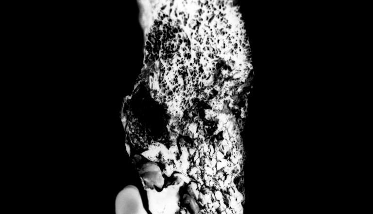 fossilized lung from Black Coal disease fossilized lung from Black Coal disease