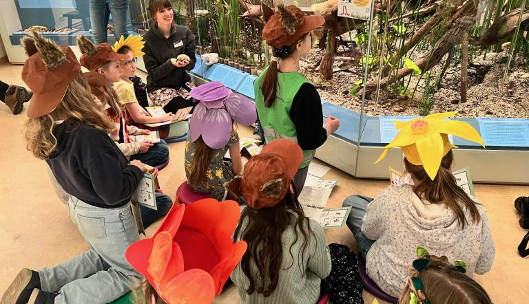 Erlebter Frühling - Museumsrallye im Naturkundemuseum