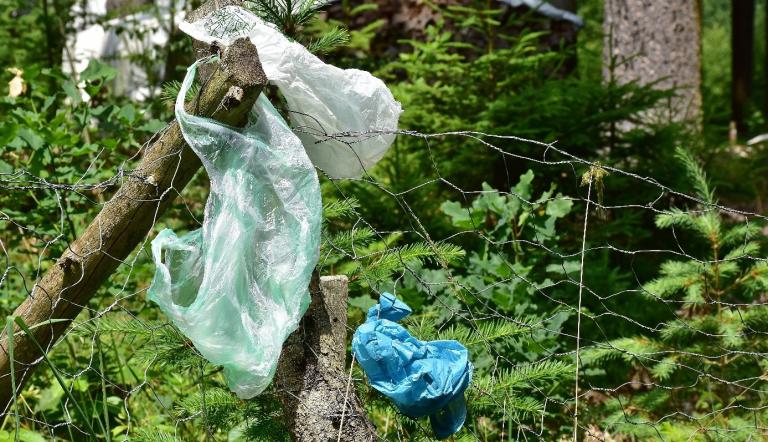 Plastiktütenfreier Tag