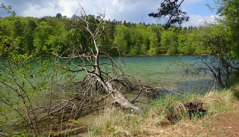 Biosphärenreservate und Naturparks sichern wertvolle Ökosysteme.