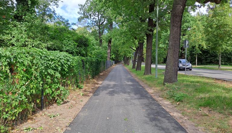 Radweg Nedlitzer-Straße