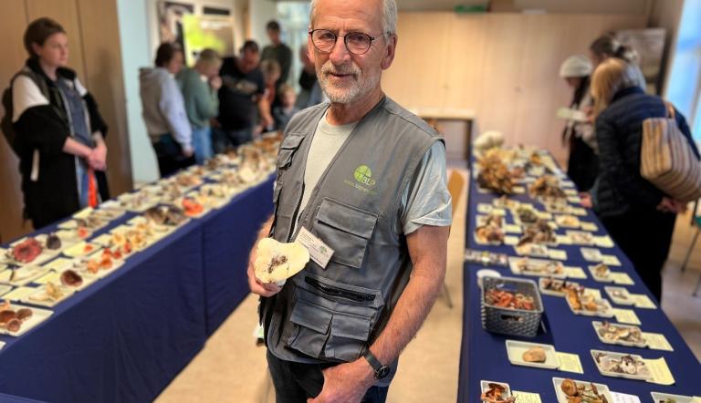 Pilzexperte Pilzsachverständiger Wolfgang Bivour ist zu Gast im Naturkundemuseum Potsdam.
