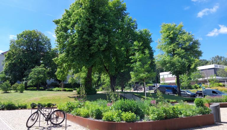 Stadtplatz Brauhausberg