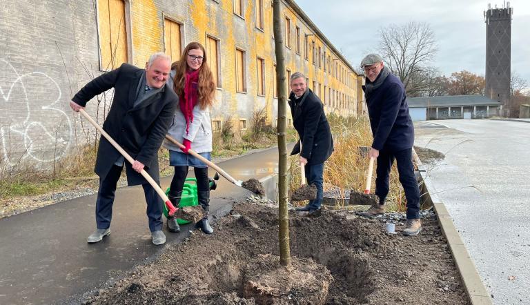Bernd Rubelt, Birgit Peseke-Lusti, Mike Schubert und Bert Nicke pflanzen die ersten neuen Bäume in Krampnitz Bernd Rubelt, Birgit Peseke-Lusti, Mike Schubert und Bert Nicke pflanzen die ersten neuen Bäume in Krampnitz