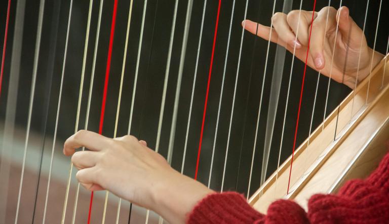 Wir sehen die Großaufnahme von vielen Saiten einer Harfe - und zwei Hände, die sie zupfen und in Schwingung versetzen.