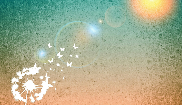 Pusteblume und Sonne