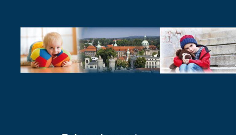 Rahmenkonzept Kinderschutz und Frühe Hilfen Rahmenkonzept Kinderschutz und Frühe Hilfen