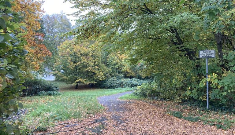 Ein Weg am Griebnitzsee, der voller Blätter ist.