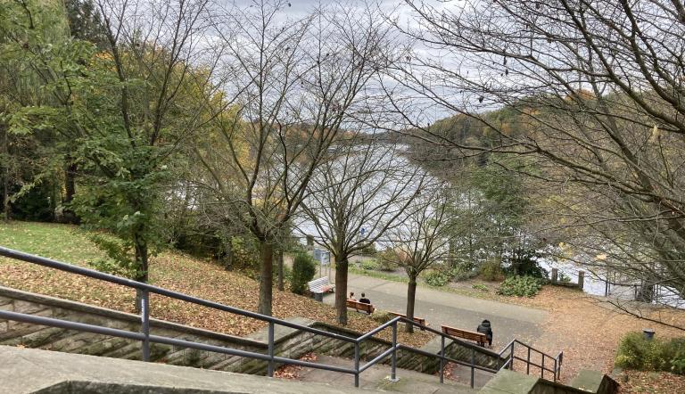 Eine Steintreppe, die hinab zum Uferweg des Griebnitzsees führt.