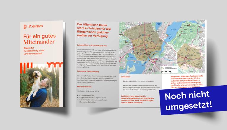 Ansicht Flyertitel und Innenseite