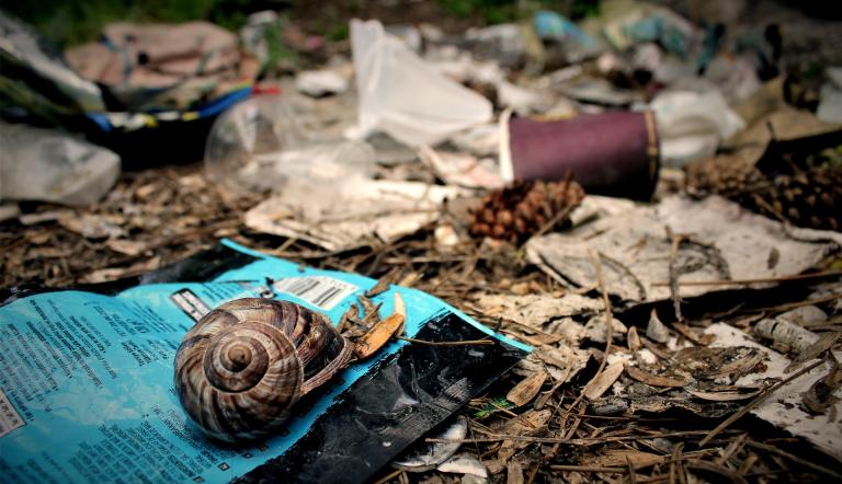 Eine Schnecke liegt auf Müllverpackungen in der Natur.