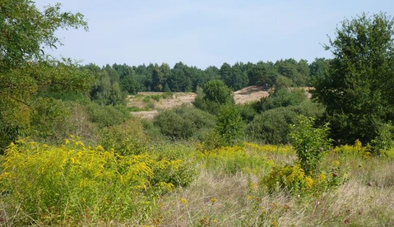 Döberitzer Heide (© Landeshauptstadt Potsdam)