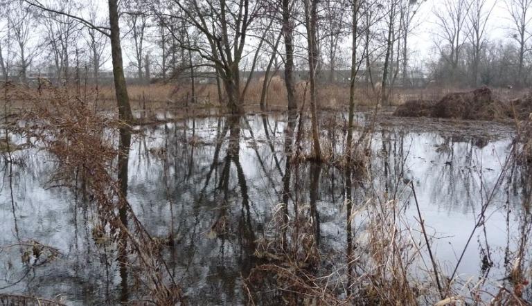 Nuthe, Hammerfließ und Eiserbach (© Landeshauptstadt Potsdam)