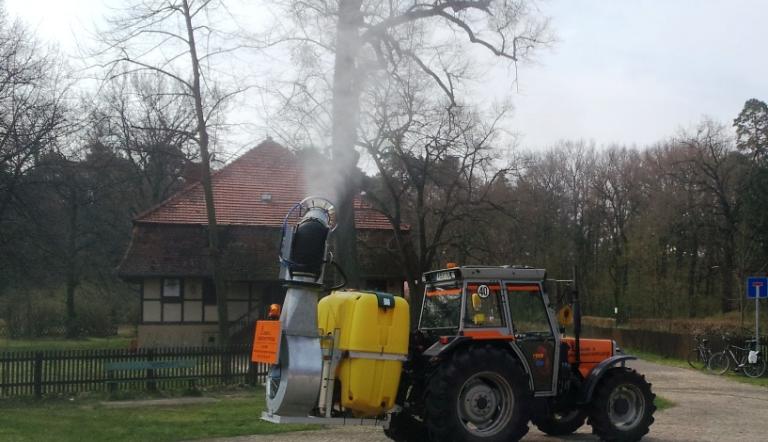 Bekämpfung Eichenprozessionsspinner. Foto (©) Landeshauptstadt Potsdam
