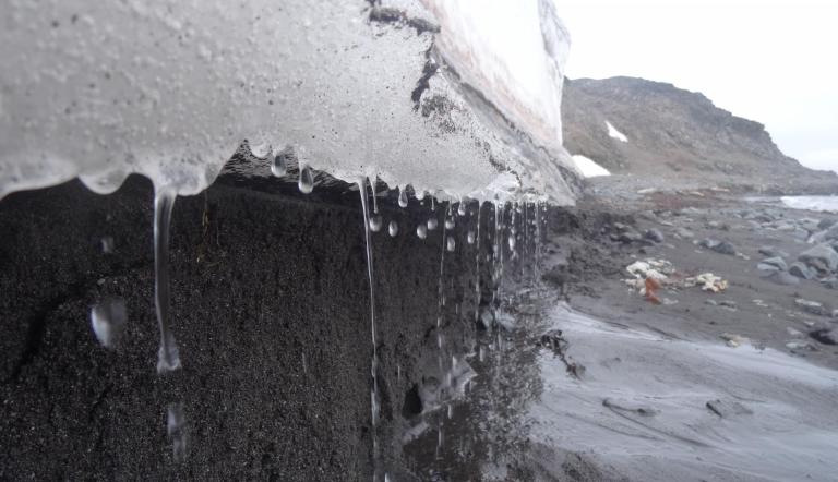 Schmelzendes Eis in der Potter Cove, Antarktis. Bei der Potsdam Summer School liegt der Schwerpunkt auf den langfristigen Auswirkungen des Klimawandels und der Herausforderung, mit ihnen umzugehen. Schmelzendes Eis in der Potter Cove, Antarktis. Bei der Potsdam Summer School liegt der Schwerpunkt auf den langfristigen Auswirkungen des Klimawandels und der Herausforderung, mit ihnen umzugehen.