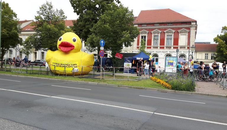 Potsdam bekennt Farbe in Aktion, Potsdam bekennt Farbe in Aktion,