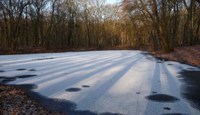 40 Überlaufrohr an den Düsteren Teichen repariert Landeshauptstadt