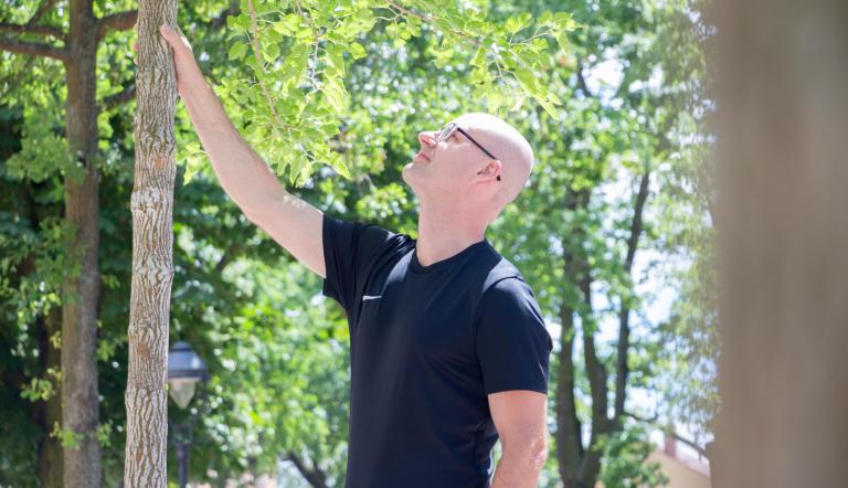 Für ein gutes Klima: Die Pflege der städtischen Bäume ist wichtige Aufgabe der Stadtverwaltung.