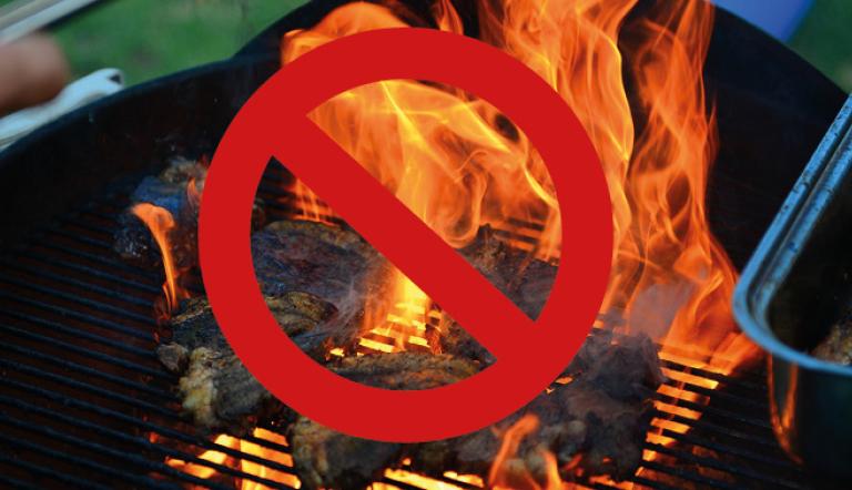 Grill- und Feuerverbot auf öffentlichen Flächen. Foto Pixabay