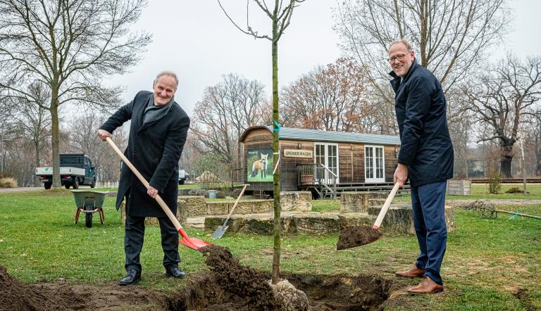 Bernd Rubelt (l.) und Bert Nicke pflanzen einen "Herbstprinz" im Volkspark Potsdam.
