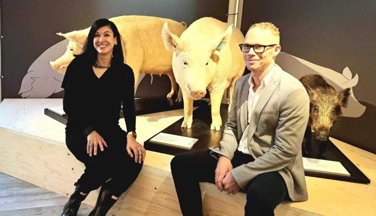 Neue Sonderausstellung im Naturkundemuseum zur Entwicklung der Schweinezucht, Neue Sonderausstellung im Naturkundemuseum zur Entwicklung der Schweinezucht,