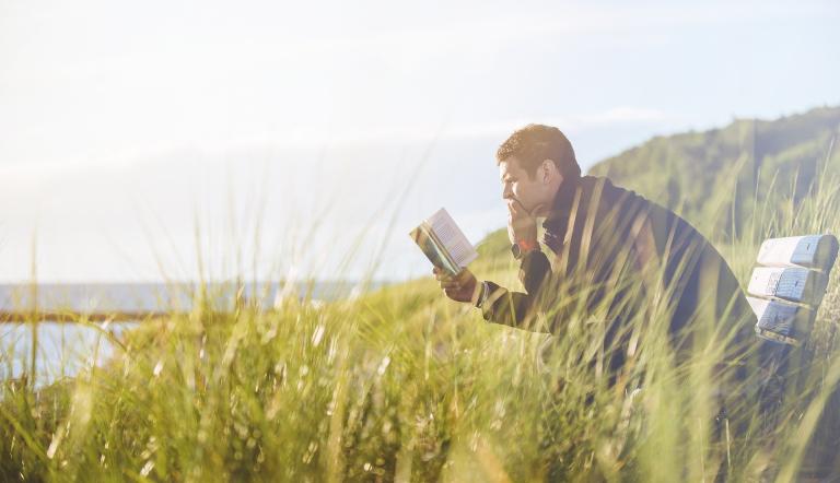 Schwedische Bücher im Original lesen und besprechen. Foto pixabay Schwedische Bücher im Original lesen und besprechen
