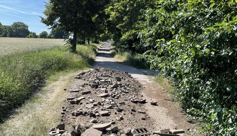 Illegale Müllablagerungen, Illegale Müllablagerungen,
