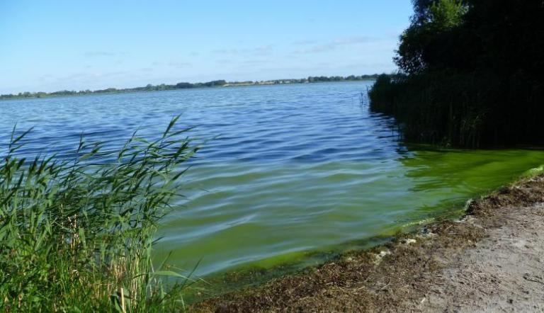 Baden und Sporttreiben im Fahrländer See verboten,