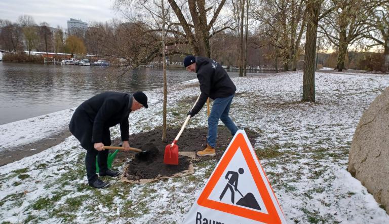 Bernd Rubelt bei der Pflanzaktion der ersten Bäume im Umfeld der Residenz Heilig Geist Park. Bernd Rubelt bei der Pflanzaktion der ersten Bäume im Umfeld der Residenz Heilig Geist Park.