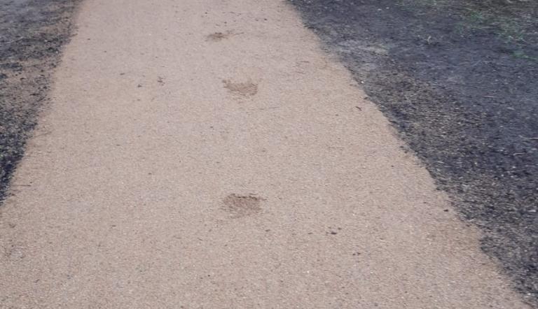 Schäden auf dem Gehweg,