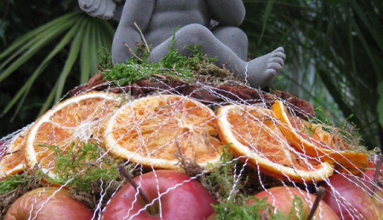 Floristische Exponate © Foto: Botanischer Garten/Kläring