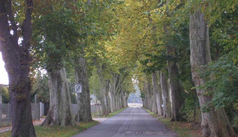Max-Eyth-Allee Max-Eyth-Allee