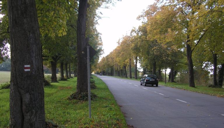Amundsenstraße