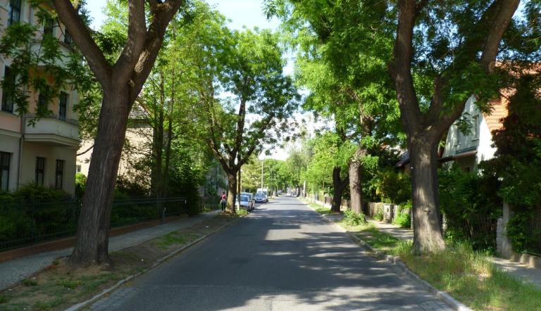 Behringstraße