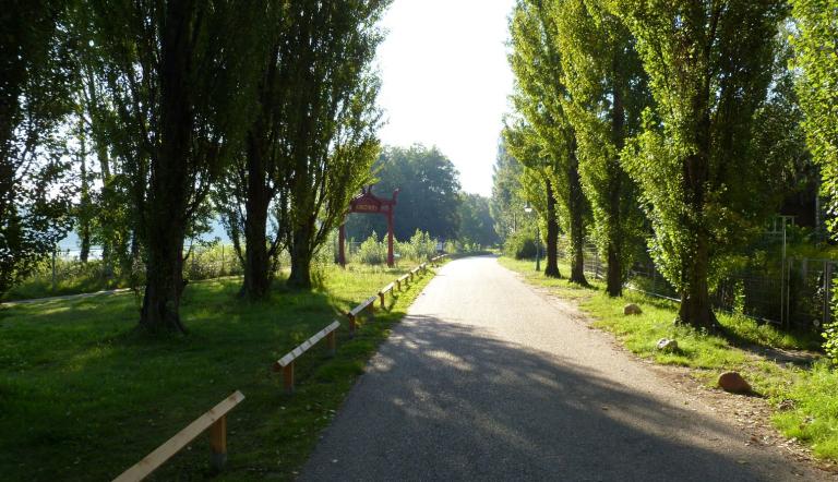 Schwanenallee Schwanenallee