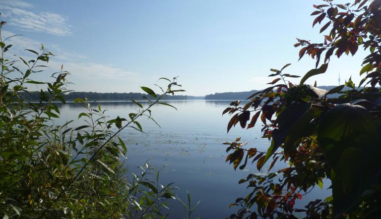 Jungfernsee Jungfernsee