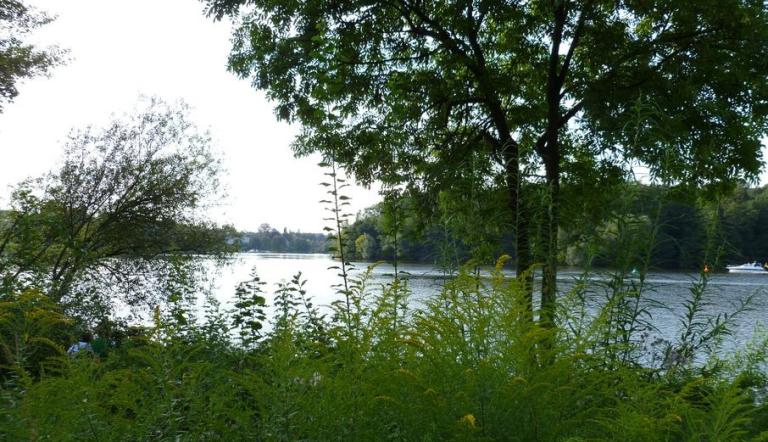 Griebnitzsee