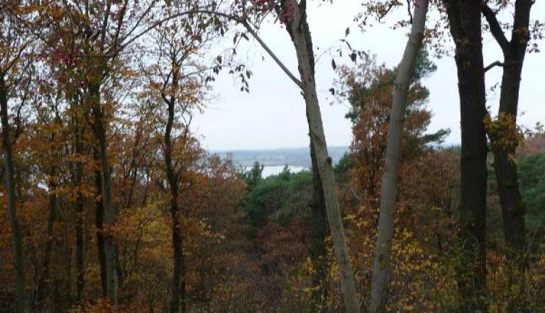 Heineholz und Fahrländer See Heineholz und Fahrländer See