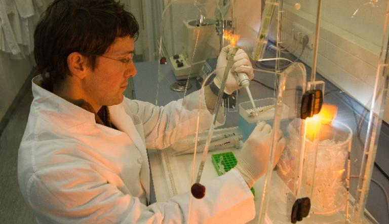 © Landeshauptstadt Potsdam/Harald Hirsch