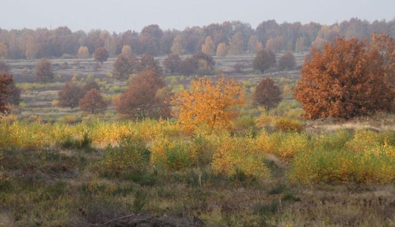 Döberitzer Heide (© Landeshauptstadt Potsdam)