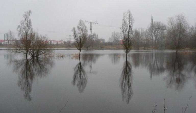 Nuthetal- Beelitzer Sander (© Landeshauptstadt Potsdam)