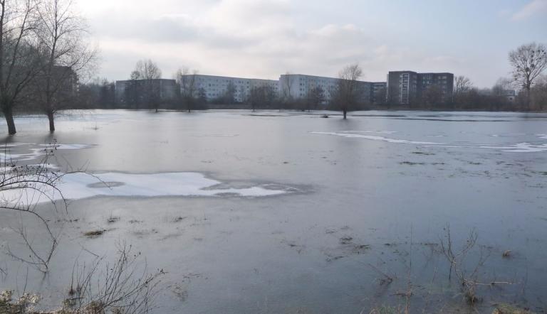 Alter Nuthelauf (© Landeshauptstadt Potsdam)