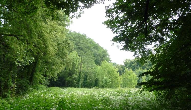 Katharinenbachwiese (© Landeshauptstadt Potsdam)