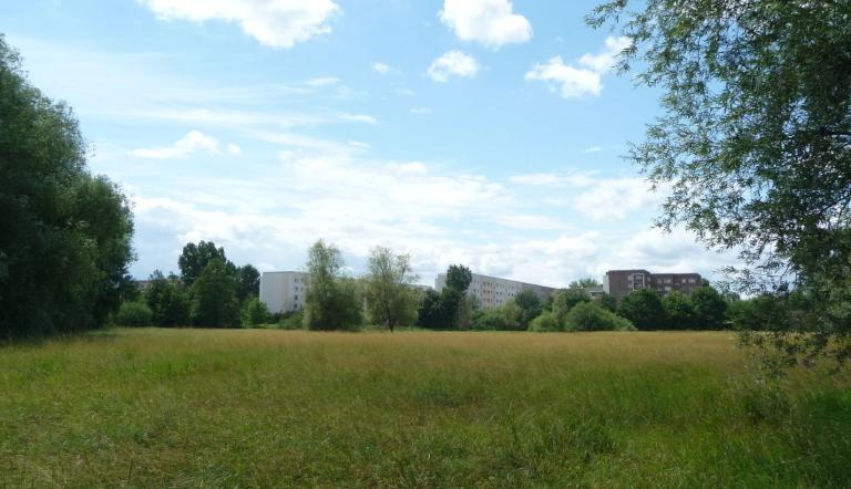 Alter Nuthelauf (© Landeshauptstadt Potsdam)