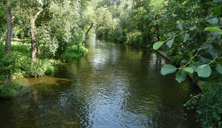 Nuthetal- Beelitzer Sander (© Landeshauptstadt Potsdam)