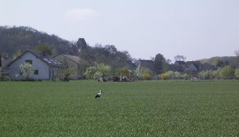 Blick zum Reiherberg und zur Kirche Golm